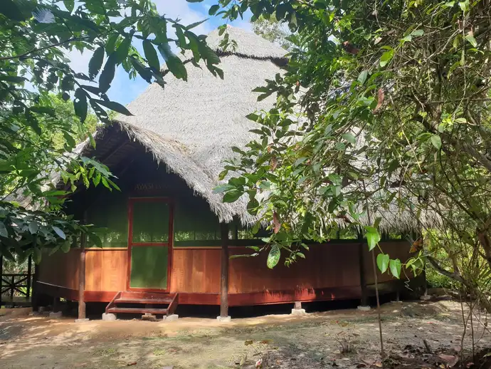 Aya Selva gallery