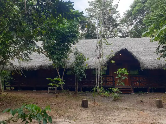 Aya Selva gallery