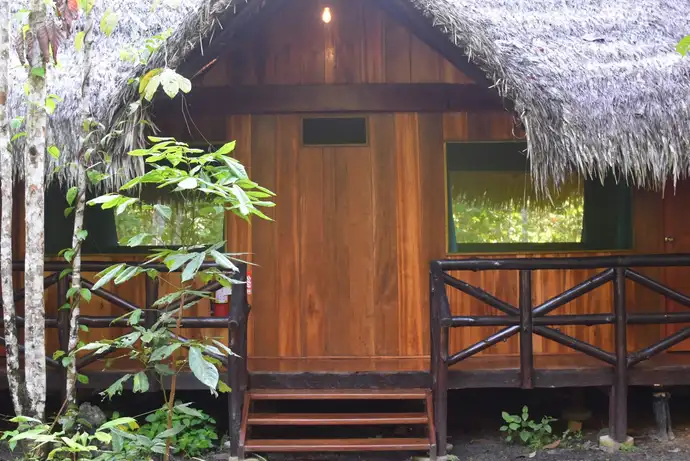 Aya Selva gallery