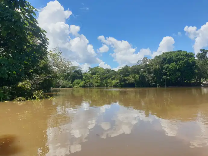 Aya Selva gallery