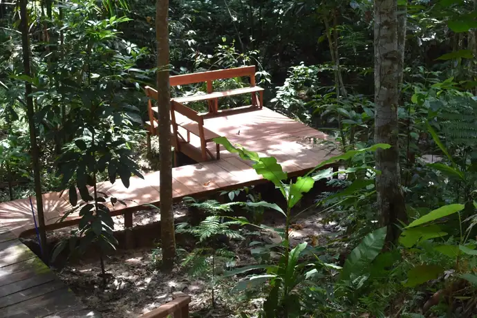 Aya Selva gallery