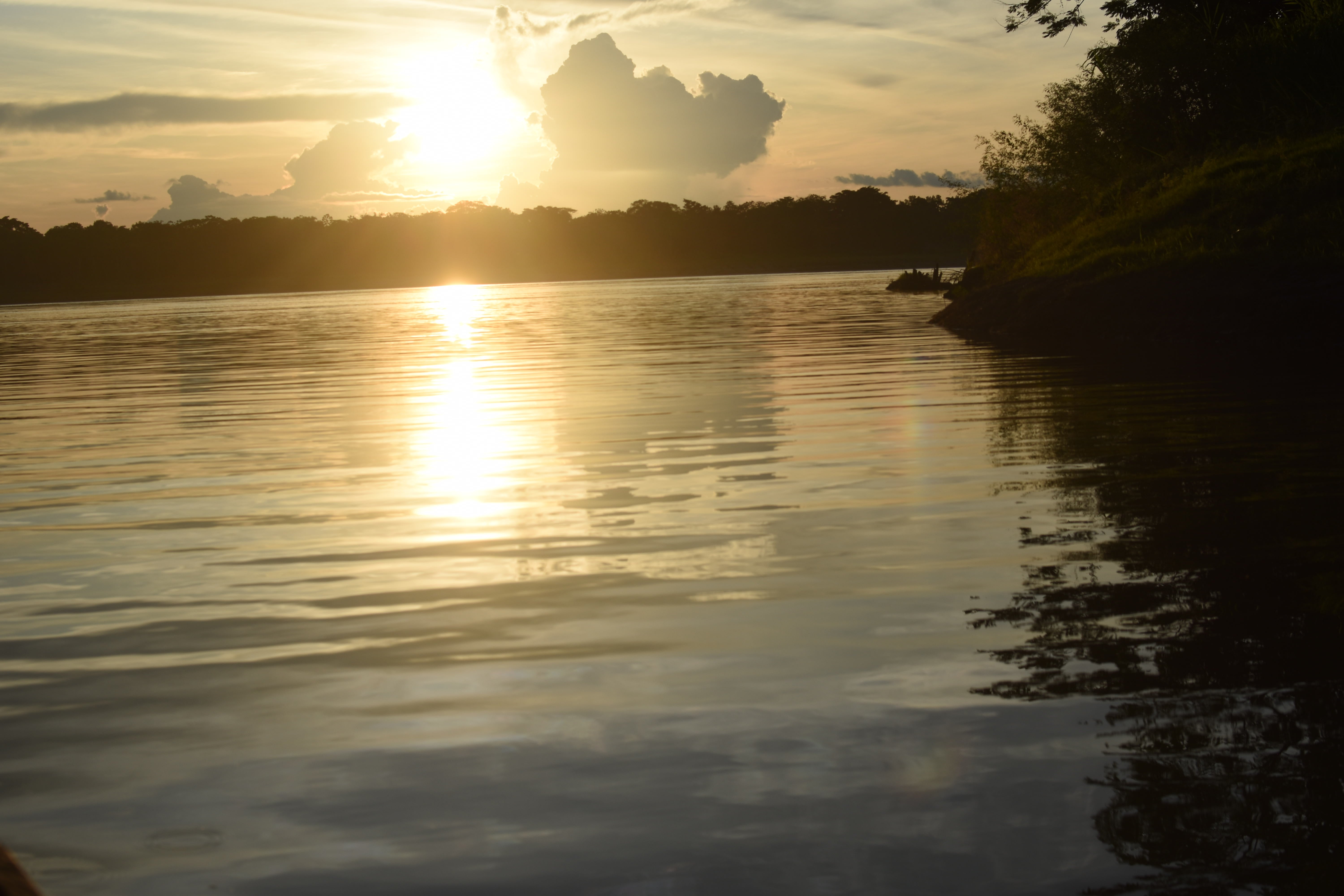 Ayahuasca center of psychedelic healing journeys..